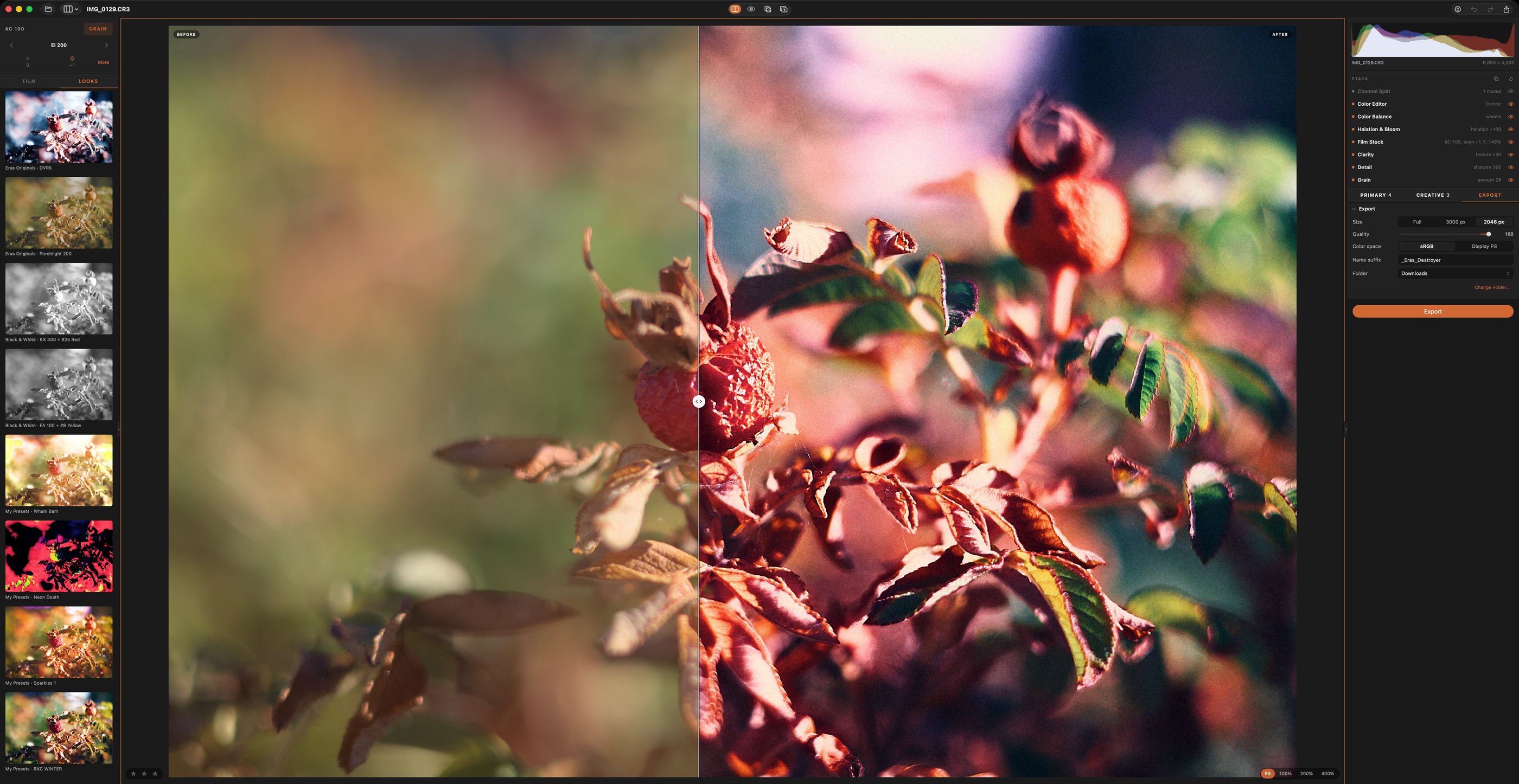 The Eras window: Looks column on the left, a rose hip photo split before and after in the middle, the stack and export on the right